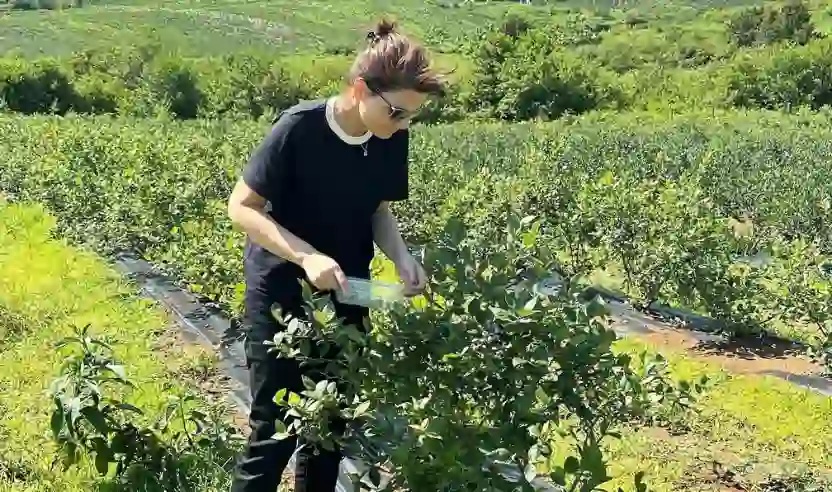 Lessons in Endurance: Advice for Future Leaders